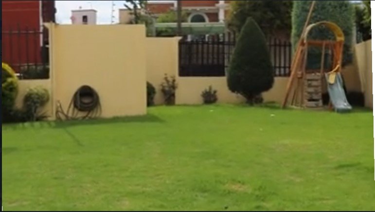 jardin 2
